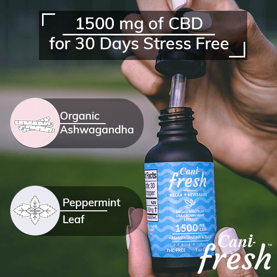 Alt=“CBD oil tincture for stress relief with organize ashwagandha and peppermint leaf ingredients”