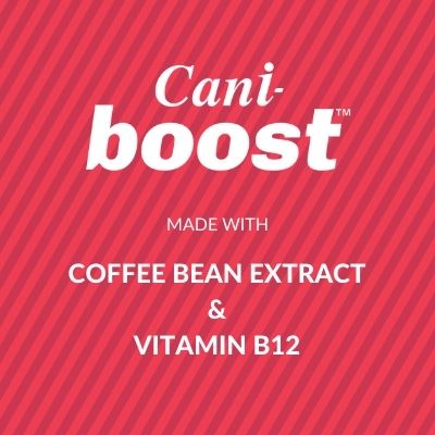 Cani-Boost CBD oil and vitamin b12 supplement