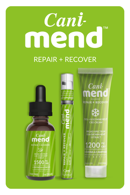 Cani-Mend CBD for pain relief